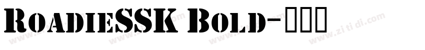 RoadieSSK Bold字体转换